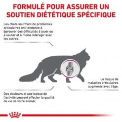 Nouvelles versions -Animal De Compagnie veterinary diet cat mobility 1