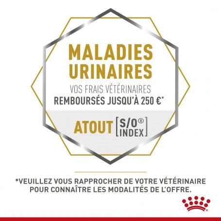 ROYAL CANIN Veterinary Health Nutrition Cat Mobility 9 ROYAL CANIN Veterinary Health Nutrition Cat Mobility – Image 9