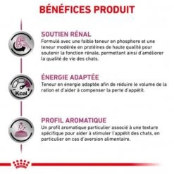 ROYAL CANIN Veterinary Health Nutrition Cat Renal Boeuf Sachet Repas -Animal De Compagnie veterinary diet cat renal boeuf sachet repas 2