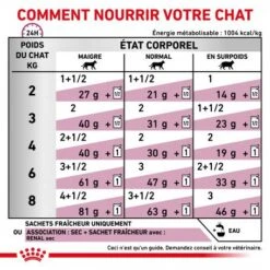 ROYAL CANIN Veterinary Health Nutrition Cat Renal Boeuf Sachet Repas -Animal De Compagnie veterinary diet cat renal boeuf sachet repas 3