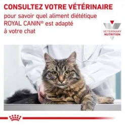 ROYAL CANIN Veterinary Health Nutrition Cat Renal Poisson Sachet Repas -Animal De Compagnie veterinary diet cat renal poisson sachet repas 6