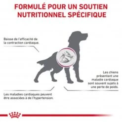 Nouvelles versions -Animal De Compagnie veterinary diet dog cardiac 1