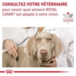 ROYAL CANIN Veterinary Health Nutrition Dog Cardiac -Animal De Compagnie veterinary diet dog cardiac 7