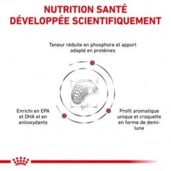 ROYAL CANIN Veterinary Diet Dog Renal Select -Animal De Compagnie veterinary diet dog renal select 2