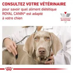 ROYAL CANIN Veterinary Diet Dog Renal Select -Animal De Compagnie veterinary diet dog renal select 7