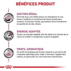 ROYAL CANIN Veterinary Health Nutrition Dog Renal Special -Animal De Compagnie veterinary diet dog renal special 3
