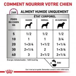 ROYAL CANIN Veterinary Health Nutrition Dog Renal Special Boîte 10 ROYAL CANIN Veterinary Health Nutrition Dog Renal Special Boîte -Animal De Compagnie veterinary diet dog renal special boite 3