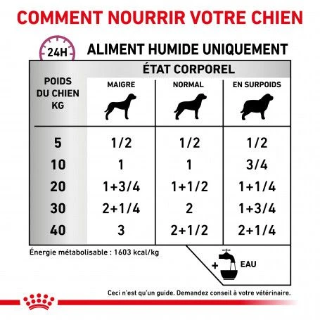 ROYAL CANIN Veterinary Health Nutrition Dog Renal Special Boîte 4 ROYAL CANIN Veterinary Health Nutrition Dog Renal Special Boîte – Image 4