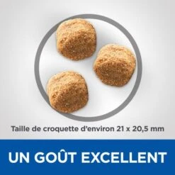 Vet Essentials Canine Adult Dental Health Large Breed Poulet -Animal De Compagnie vetessentials canine adult large breed 2