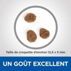 Vet Essentials Canine Adult Medium No Grain Thon & Pommes De Terre -Animal De Compagnie vetessentials canine adult medium no grain thon pommes de terre 2