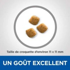 Vet Essentials Feline Young Adult Dental Health 8 Vet Essentials Feline Young Adult Dental Health -Animal De Compagnie vetessentials feline young adult dental health 3